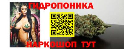 дурь Можга