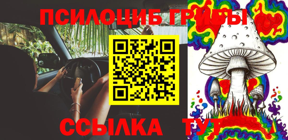 Фрязино  Галлюциногенные грибы Psilocybe  Вход с VPN 