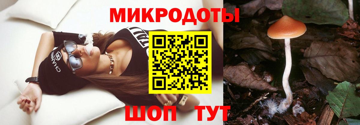 Галлюциногенные грибы Psilocybe Фрязино