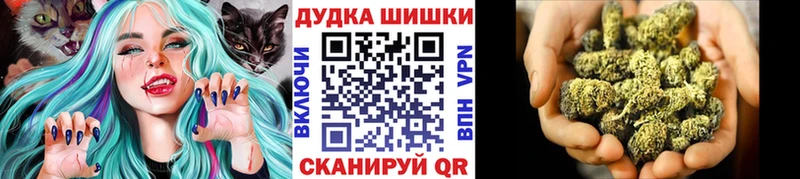 наркотики  Фрязино  Канабис OG Kush 